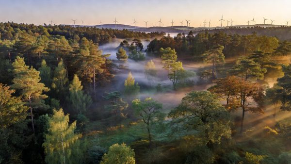 EU's 90% Climate Target for 2040: Ambition Intact, But Corporate ESG Rules Take a Hit