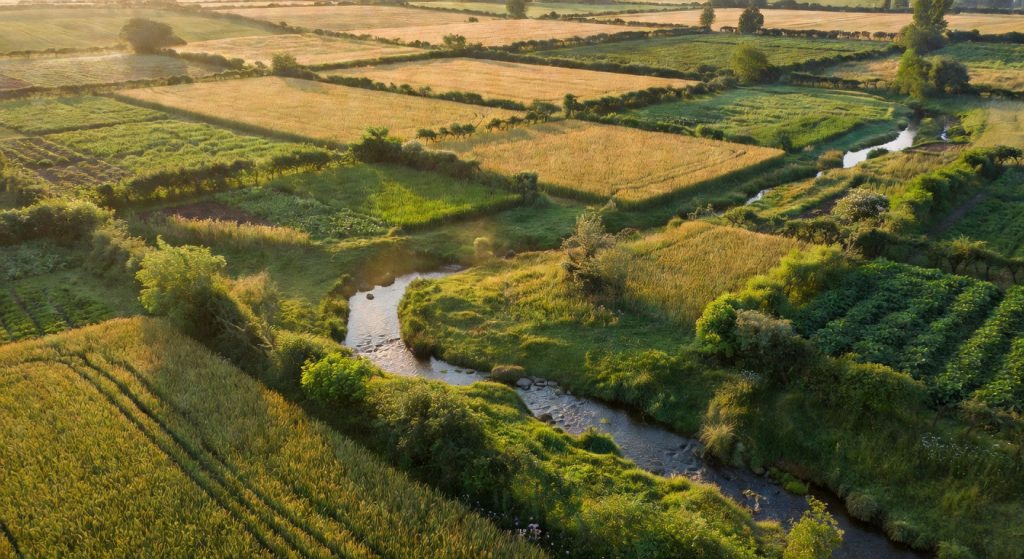Big Food Is Failing on Sustainable Farming — And the Pressure Is Finally Mounting