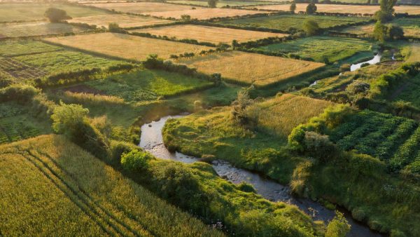 Big Food Is Failing on Sustainable Farming — And the Pressure Is Finally Mounting
