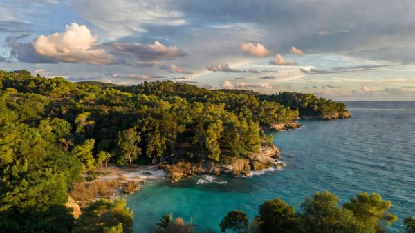 Earth's Climate Is Accelerating Past Safe Limits — And Ecosystems Are Paying the Price