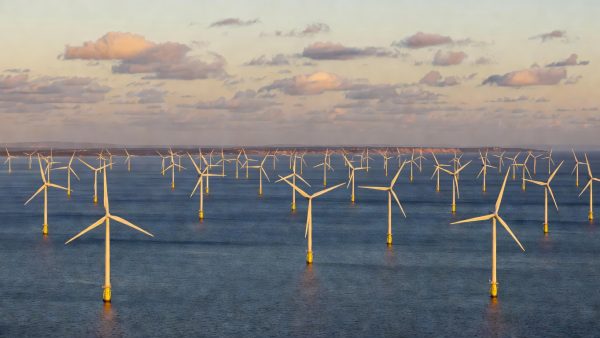 Solar Discipline in India, Industrial Ambition in Europe: How Clean Energy Policy Is Maturing