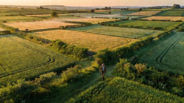 Pesticide Curbs, Right to Repair, and Gene-Edited Crops: How New Farm Policies Are Reshaping Sustainable Agriculture