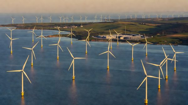 Solar Overcapacity Warnings and Europe's Storage Surge: What the Latest Clean Energy Signals Mean