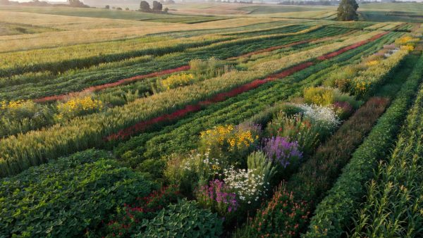 Gene Editing, Regenerative Farming, and the Race to Build Climate-Resilient Food Systems